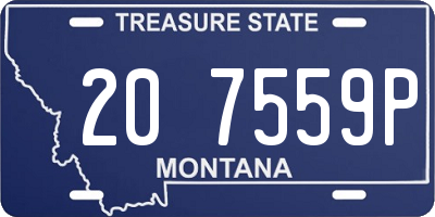 MT license plate 207559P