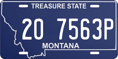 MT license plate 207563P