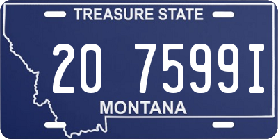 MT license plate 207599I