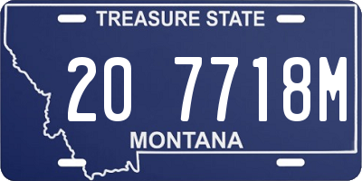 MT license plate 207718M
