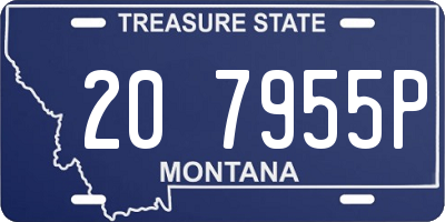 MT license plate 207955P