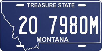 MT license plate 207980M