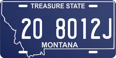 MT license plate 208012J