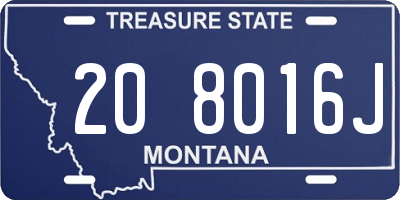 MT license plate 208016J