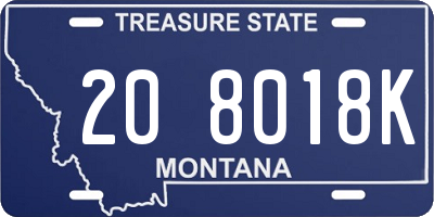MT license plate 208018K
