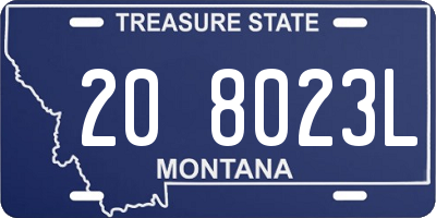 MT license plate 208023L