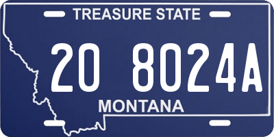 MT license plate 208024A
