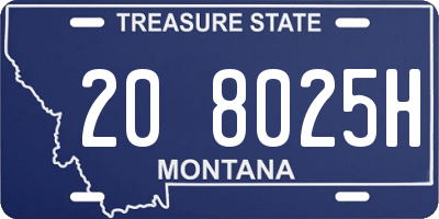 MT license plate 208025H