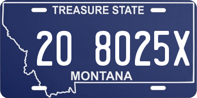 MT license plate 208025X