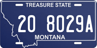 MT license plate 208029A
