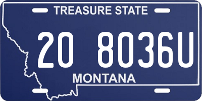 MT license plate 208036U