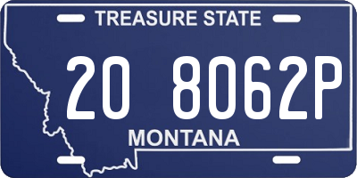 MT license plate 208062P