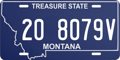 MT license plate 208079V