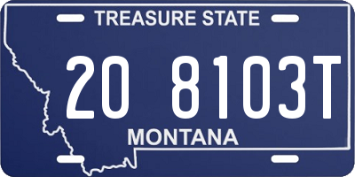 MT license plate 208103T