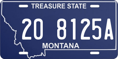 MT license plate 208125A
