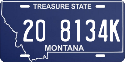 MT license plate 208134K