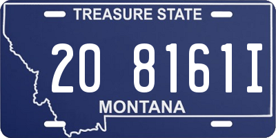 MT license plate 208161I