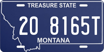 MT license plate 208165T