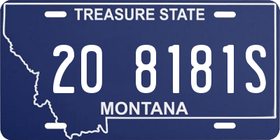 MT license plate 208181S