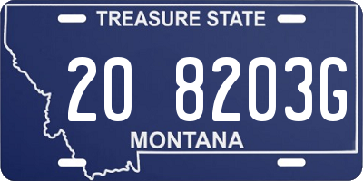 MT license plate 208203G