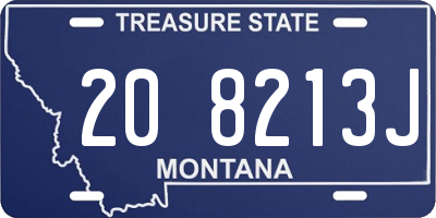 MT license plate 208213J