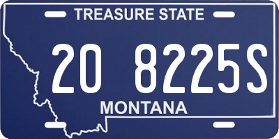 MT license plate 208225S