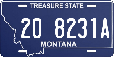 MT license plate 208231A
