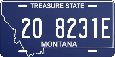 MT license plate 208231E