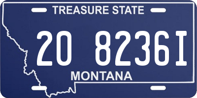 MT license plate 208236I