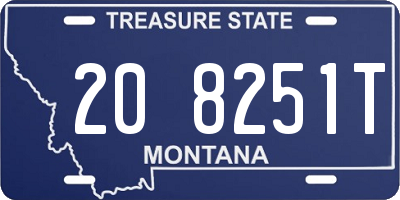 MT license plate 208251T