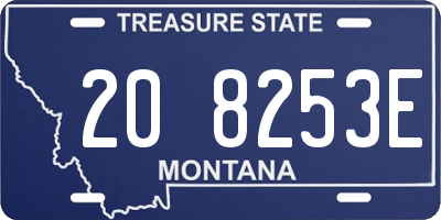 MT license plate 208253E