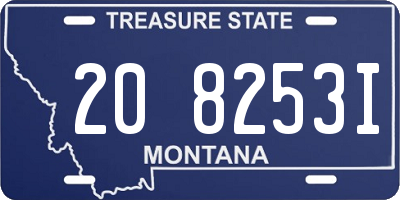 MT license plate 208253I