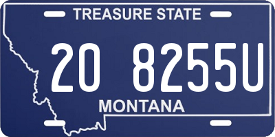 MT license plate 208255U