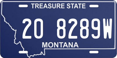 MT license plate 208289W