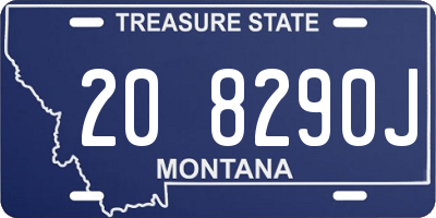 MT license plate 208290J