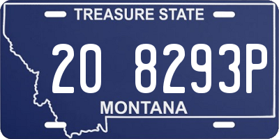MT license plate 208293P