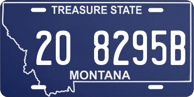 MT license plate 208295B