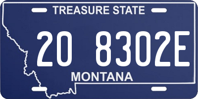 MT license plate 208302E