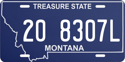 MT license plate 208307L