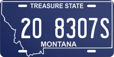MT license plate 208307S
