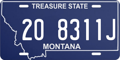 MT license plate 208311J