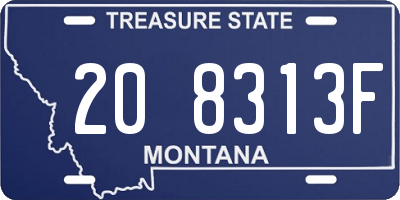 MT license plate 208313F