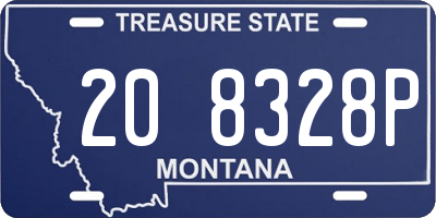 MT license plate 208328P