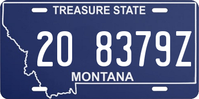 MT license plate 208379Z