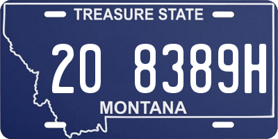 MT license plate 208389H