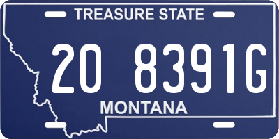 MT license plate 208391G