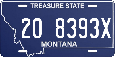 MT license plate 208393X