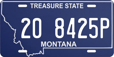 MT license plate 208425P