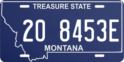 MT license plate 208453E