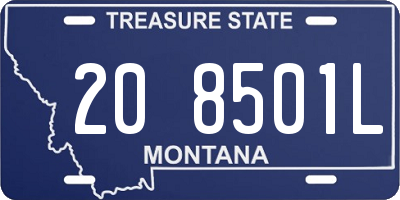 MT license plate 208501L